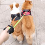 Retractable Dual Dog Leash with Anti-Tangle Swivel and Built-in Torch 4m