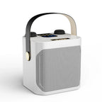 Portable Karaoke Speaker with Dual Wireless Microphones and 360 Degree Sound