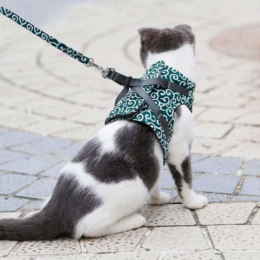 Cat Harness Vest Adjustable Safety Harness for Cats