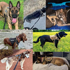 Dog Harness Tactical Vest with Quick Release System
