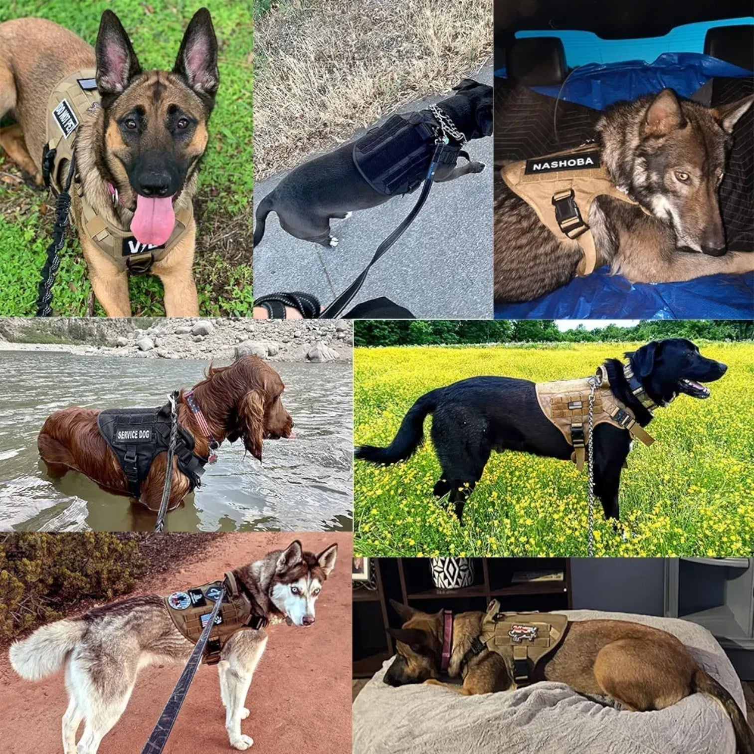 Dog Harness Tactical Vest with Quick Release System
