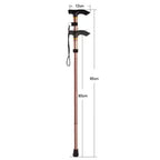 Adjustable Aluminum Hiking Pole Trekking Stick for Outdoor Hiking