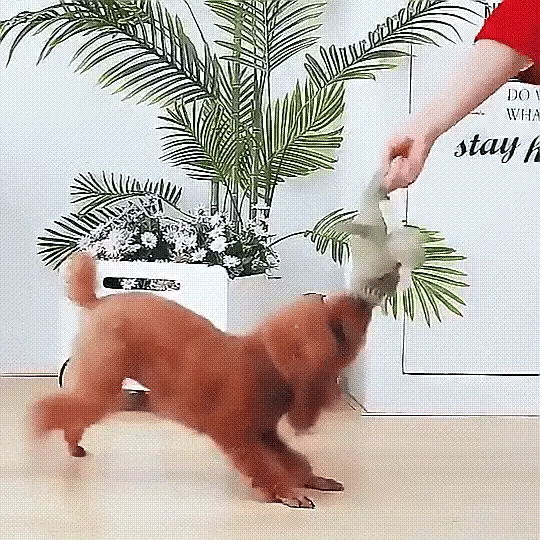 Plush Crocodile Dog Toy with Squeaker Textured Fabric