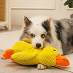 Plush Duck Dog Toy Interactive Chew Toy for Mental Stimulation