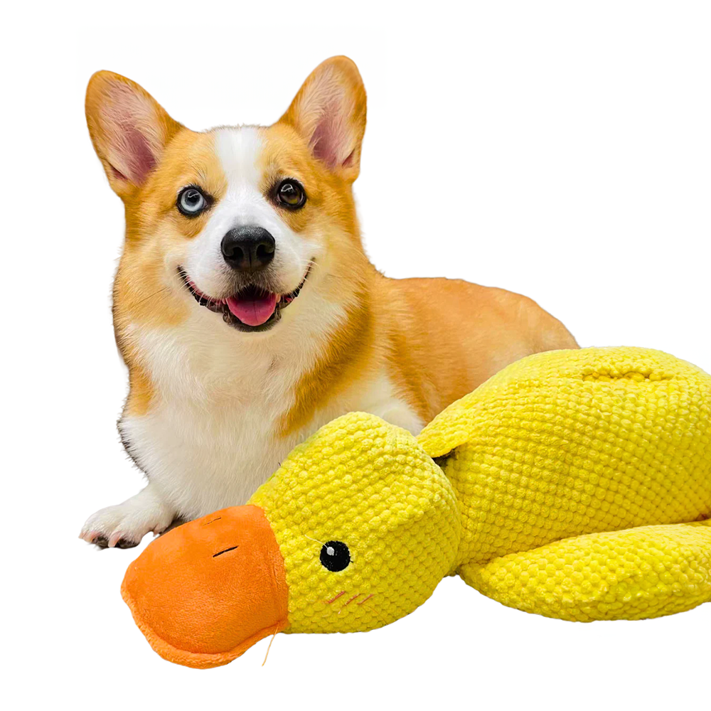 Plush Duck Dog Toy Interactive Chew Toy for Mental Stimulation